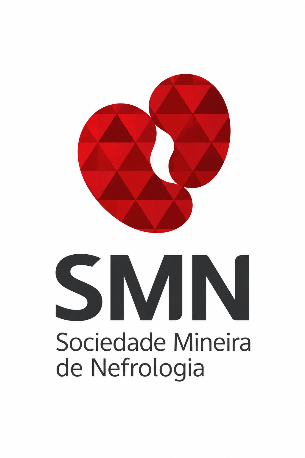 Print do artigo no site da Sociedade Mineira de Nefrologia
